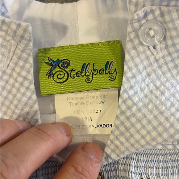 Blue Seersucker Gingham Kids Shortall with animal smocked design - Picture 2 of 6